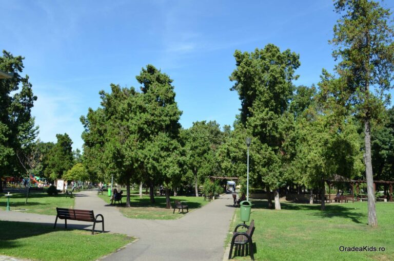 parcul olosig alee banci 768x508