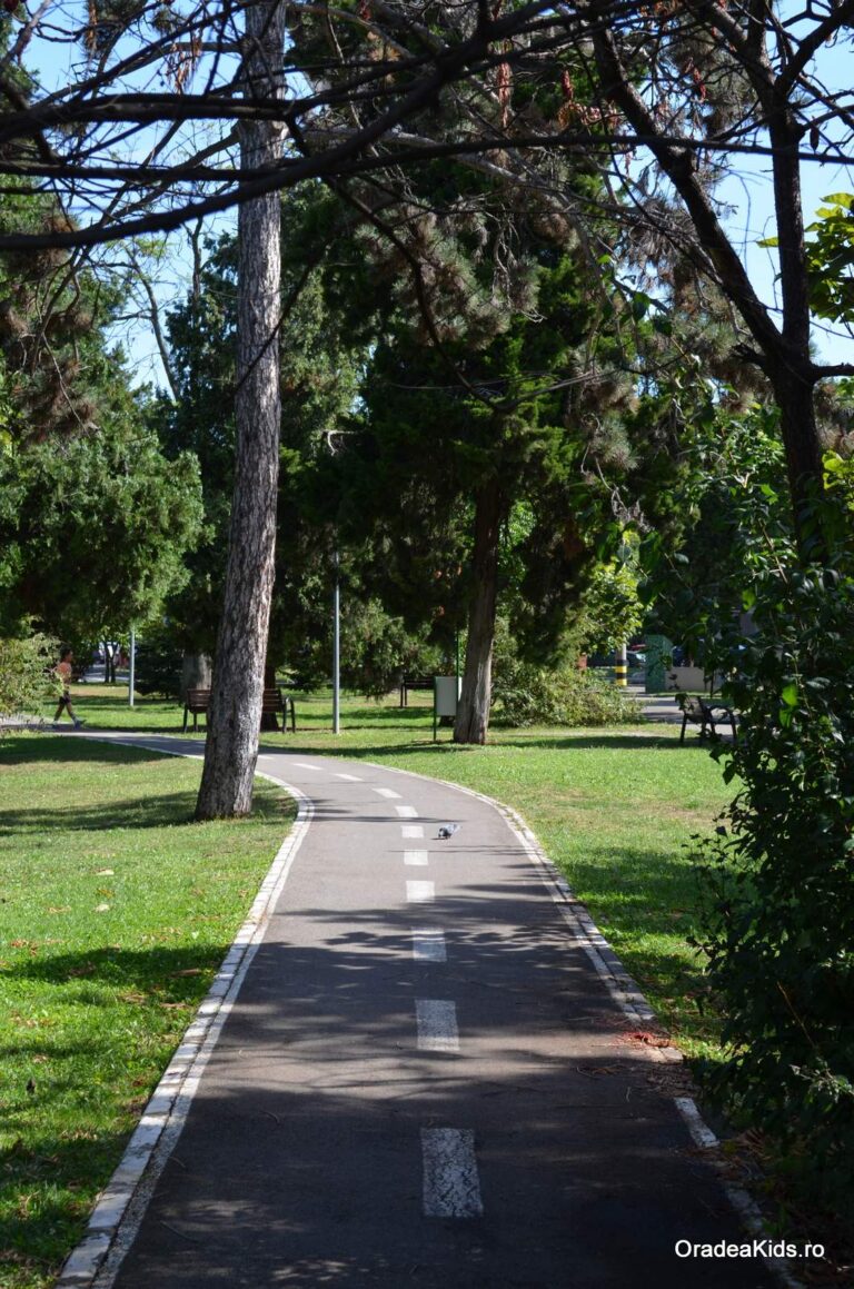 parcul olosig alee biciclete 768x1159