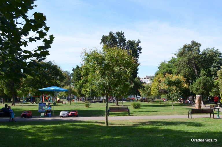 parcul olosig alee masinute 768x509