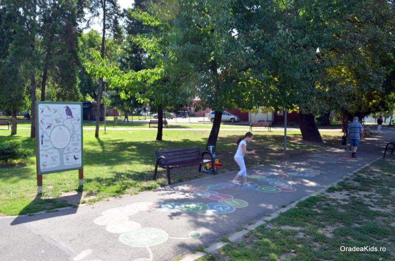 parcul olosig omida alfabet 768x509