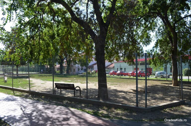 parcul olosig tarc caini 768x509