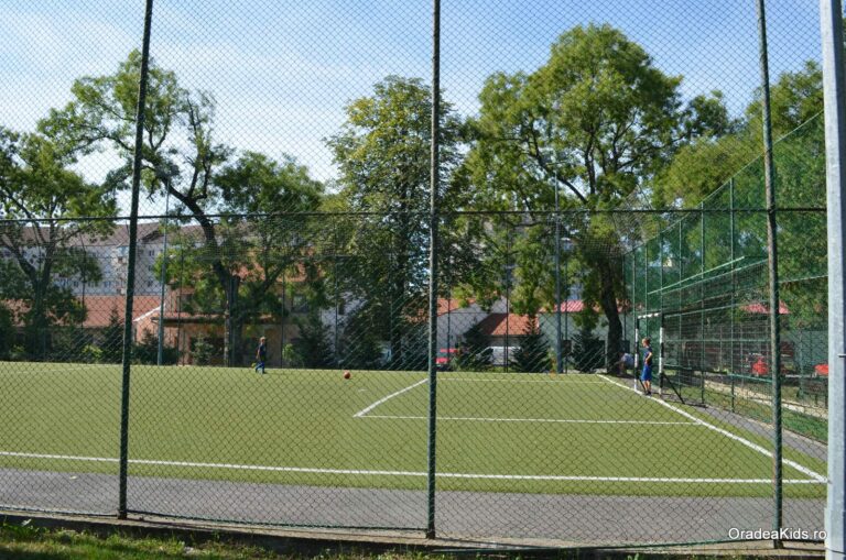 parcul olosig teren fotbal 768x509