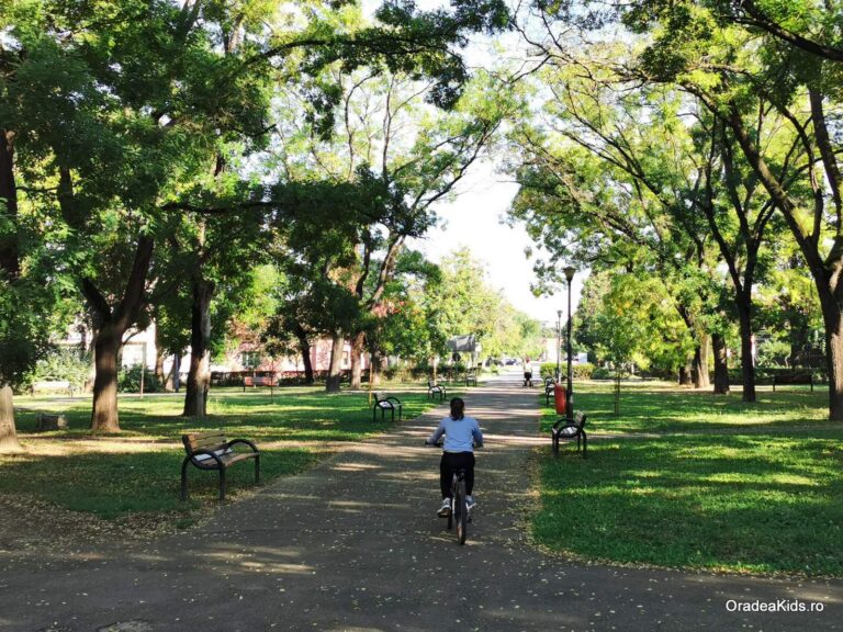 parcul 22 decembrie alee 1 768x576