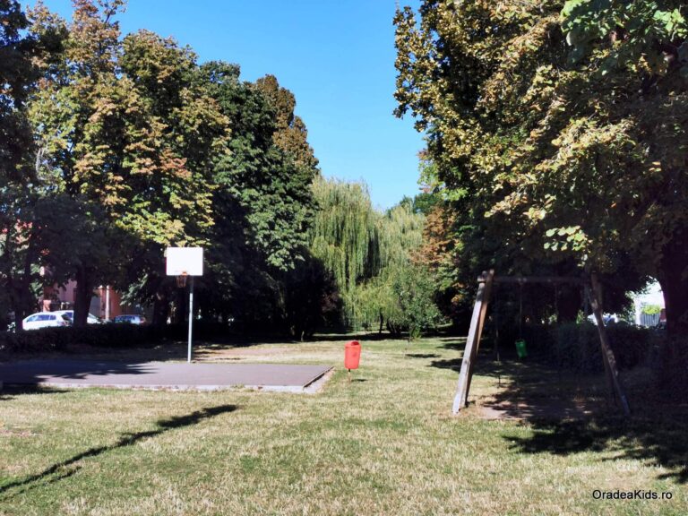 parcul 22 decembrie baschet 1 768x576