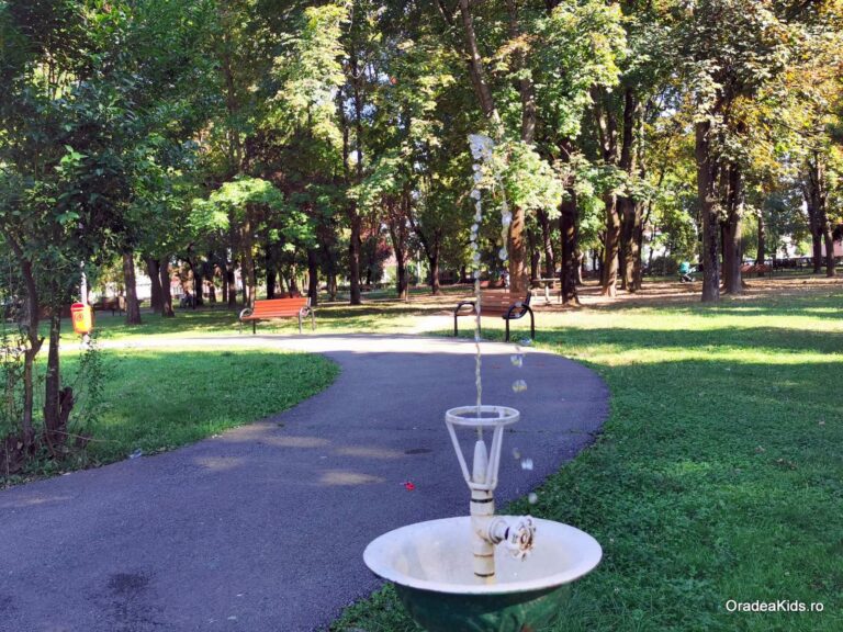 parcul 22 decembrie tasnitoare 1 768x576