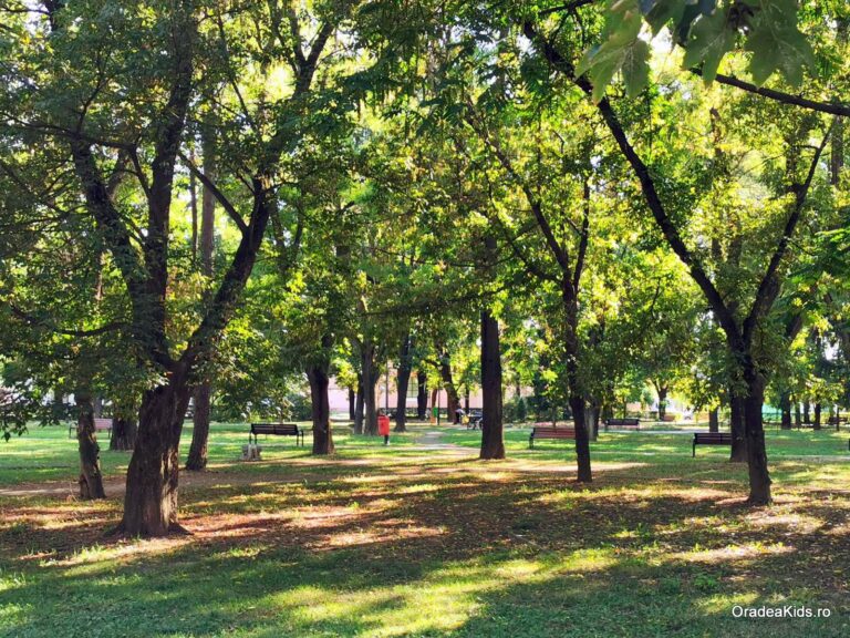 parcul 22 decembrie verdeata 1 768x576