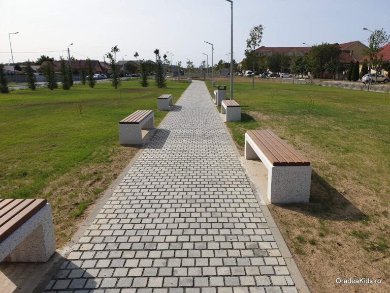 parcul barcaului alee banci 768x576