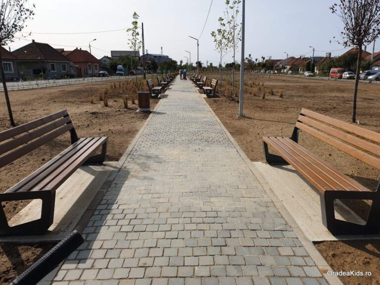 parcul barcaului alee banci pamant 768x576