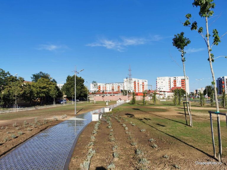 parcul barcaului alee centrala 768x576