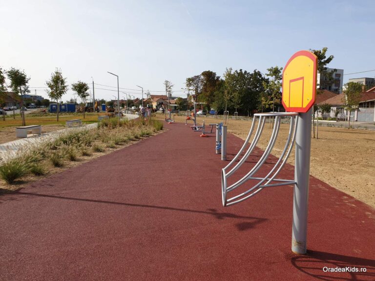 parcul barcaului aparate fitness 768x576