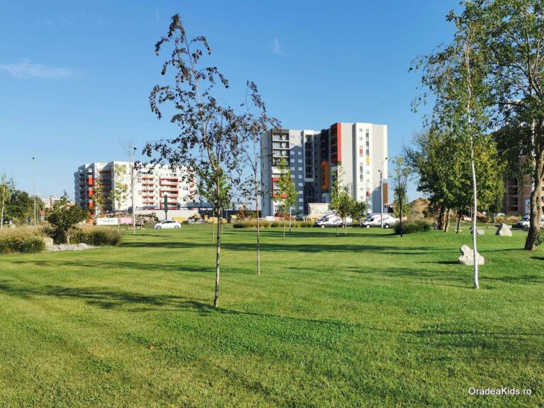 parcul barcaului iarba 768x576