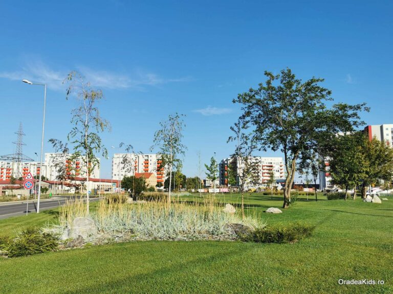 parcul barcaului iarba pomi 768x576