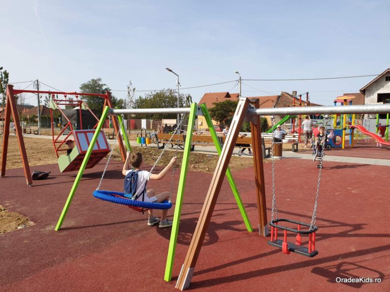parcul barcaului leagane 768x576