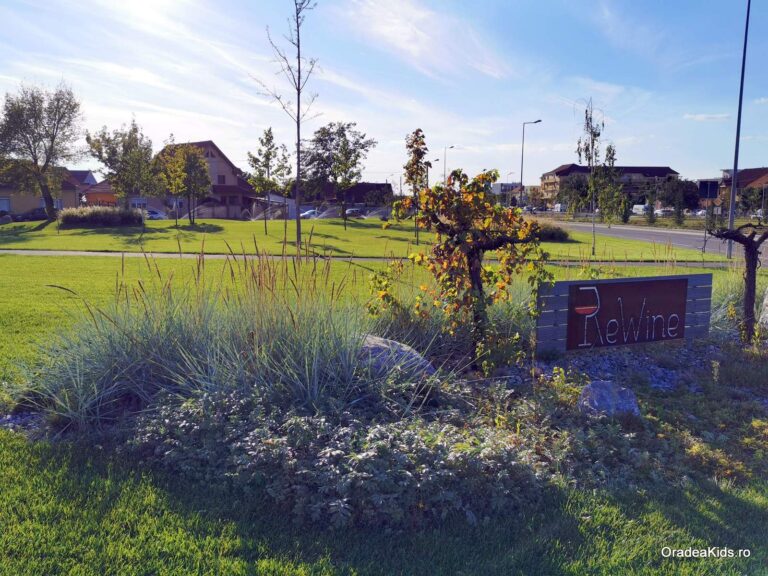 parcul barcaului rewine 768x576