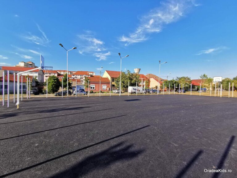 parcul barcaului teren baschet 768x576