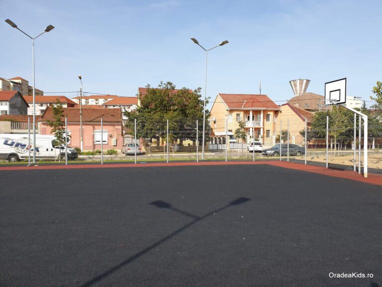 parcul barcaului teren de baschet 768x576