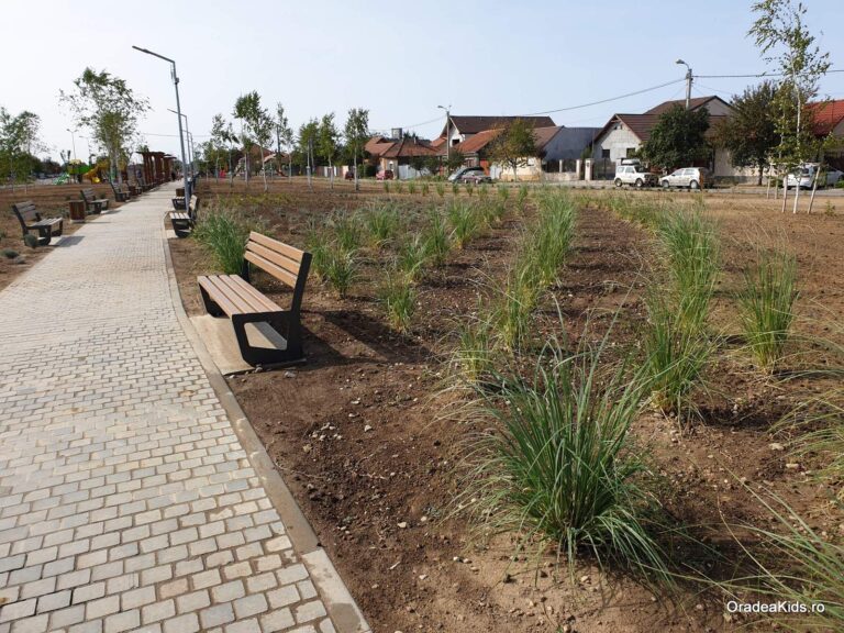 parcul barcaului verdeata pamant 768x576