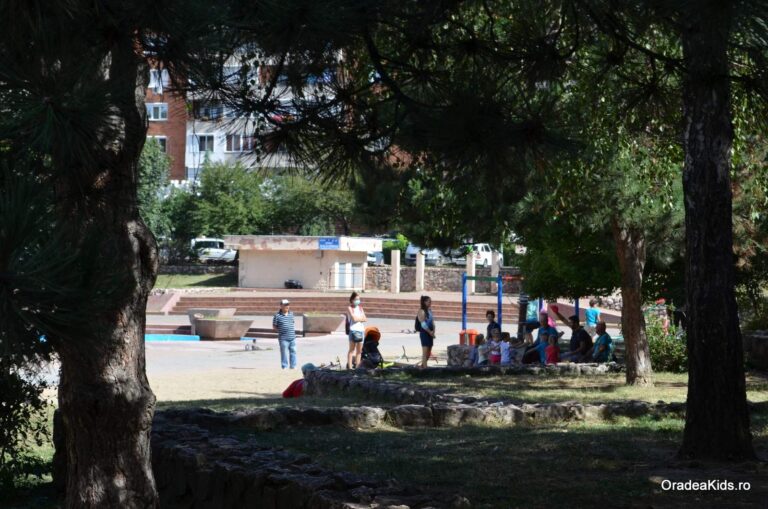 parcul magnoliei loc verdeata 768x509