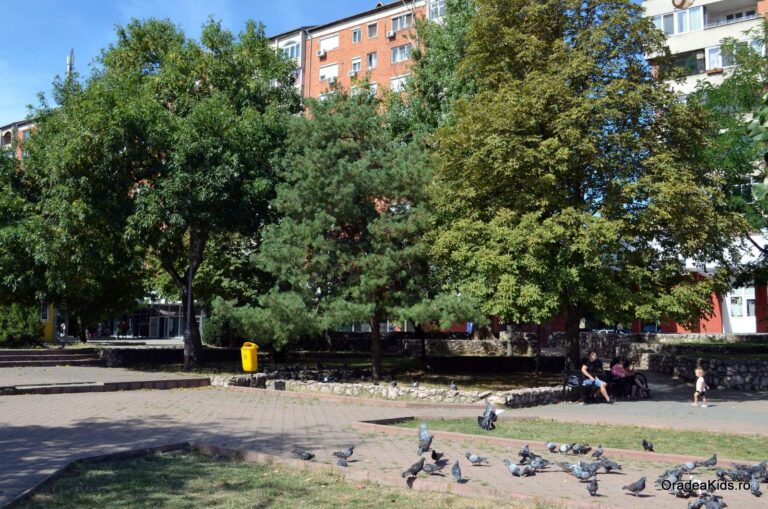 parcul magnoliei porumbei 768x509