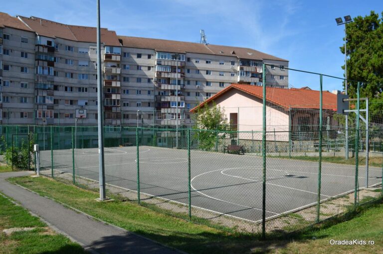 parcul olosig teren baschet 768x509