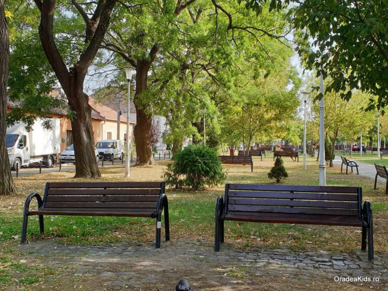 parcul padis alee banci 768x576