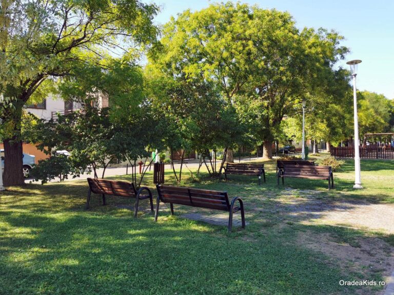 parcul padis banci 768x576