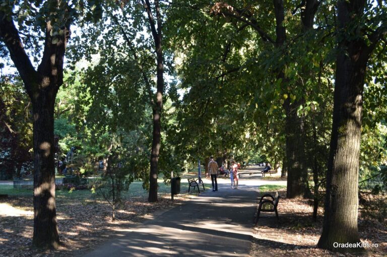 parcul petofi sandor alee 2 768x510