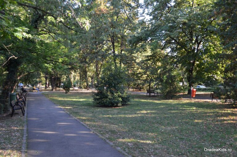 parcul petofi sandor alee 3 768x509