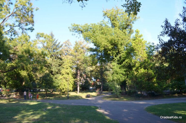 parcul petofi sandor alei 768x509