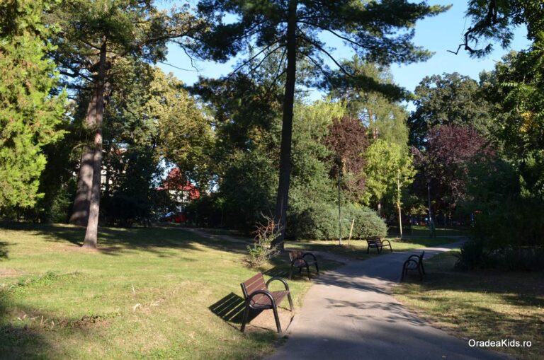 parcul petofi sandor banca 768x509