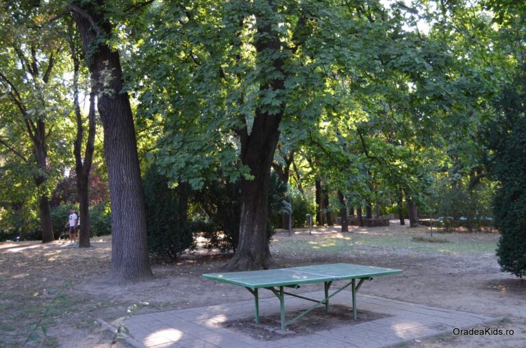 parcul petofi sandor masa ping pong 768x509