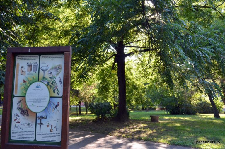 parcul petofi sandor pasari 768x509