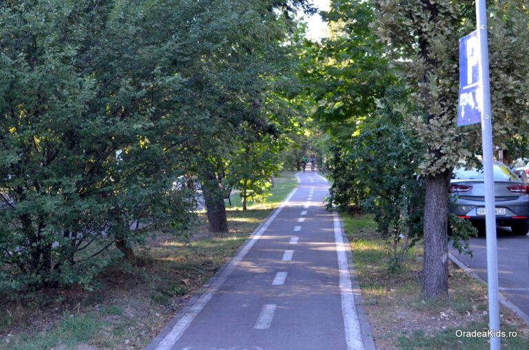 parcul petofi sandor pista biciclete 768x508