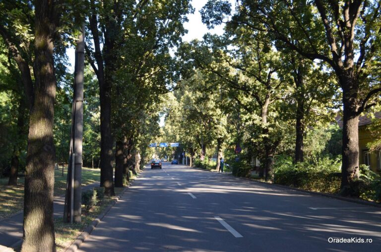parcul petofi sandor sosea 768x509