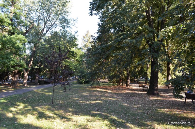 parcul petofi sandor zona verde 768x509