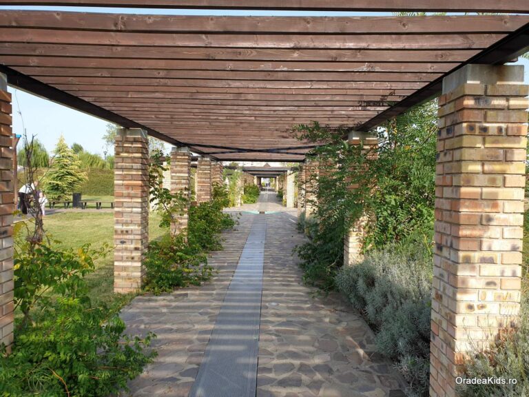 parcul salca alee acoperita verdeata 768x576