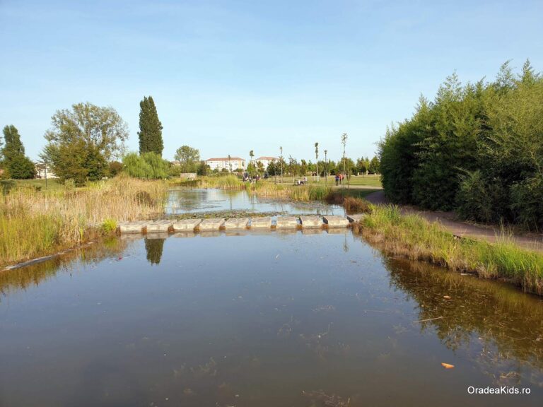 parcul salca alee balta 768x576