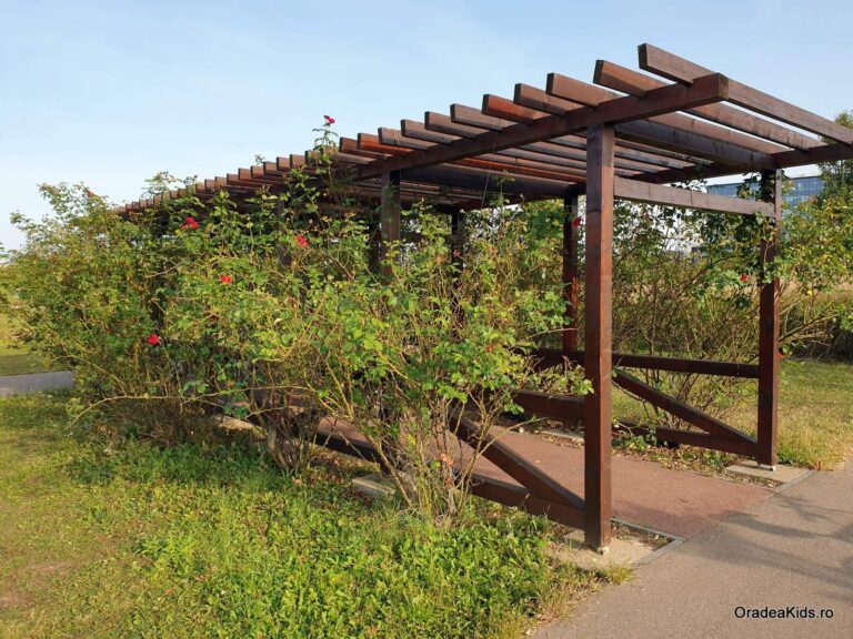 parcul salca alee flori 768x576