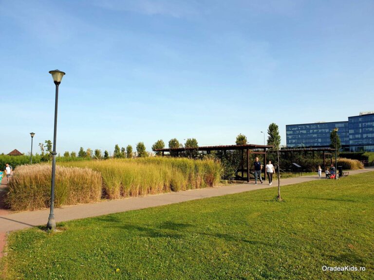 parcul salca alei verdeata 768x576