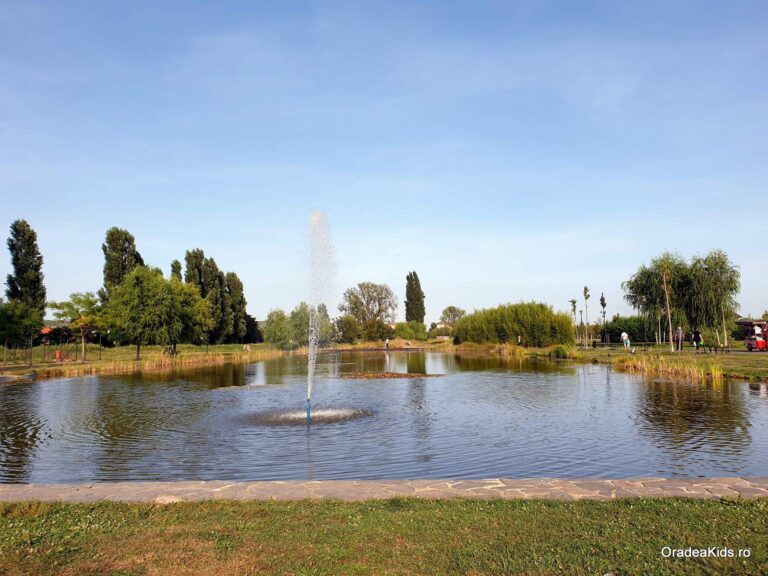 parcul salca fantana balta 768x576