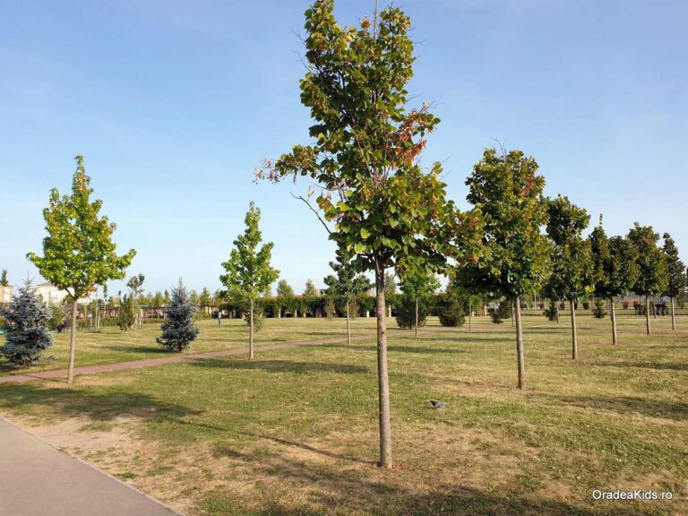 parcul salca pomi 768x576