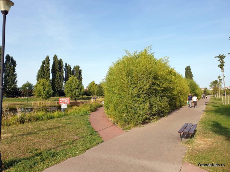 parcul salca verdeata balta 768x576