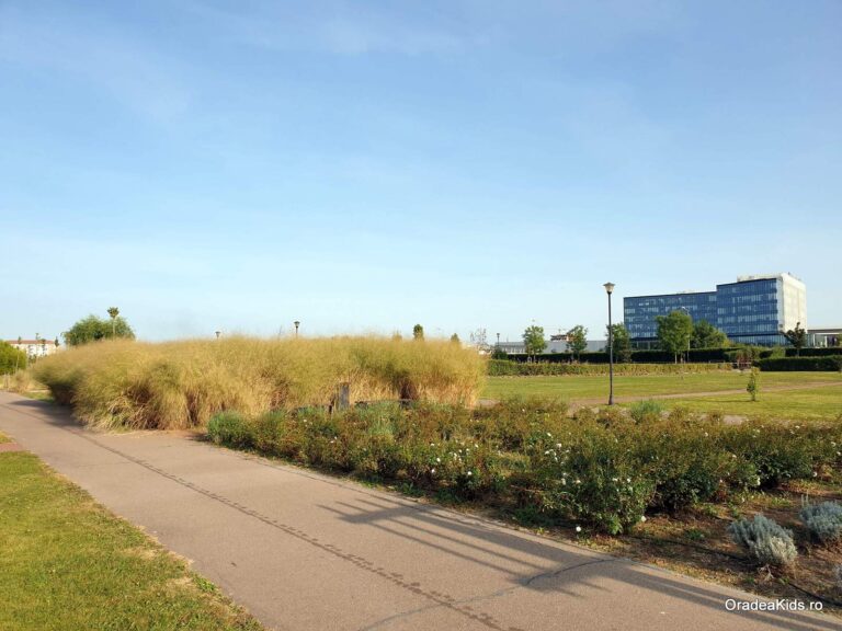 parcul salca verdeata flori 768x576