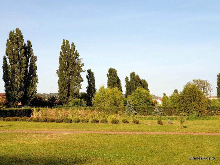 parcul salca verdeata plopi 768x576