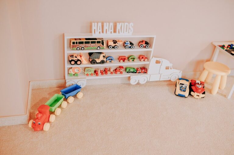 12372290035c13a1562bd956.91712313 768x510